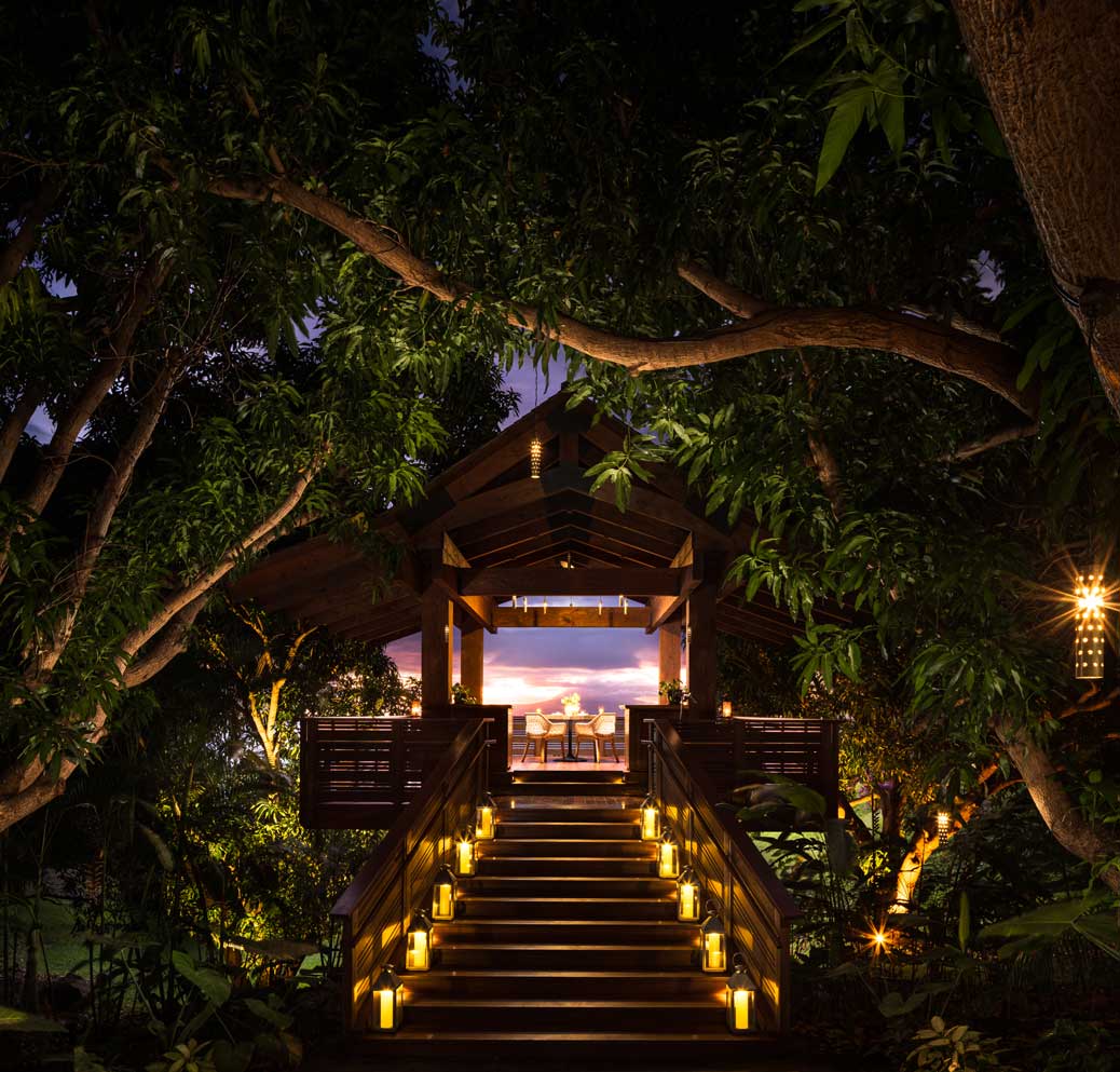 An image of The Treehouse at sunset with the stairs leading up to the landing lit with candles. It is surrounded by lush trees and local vegetation.